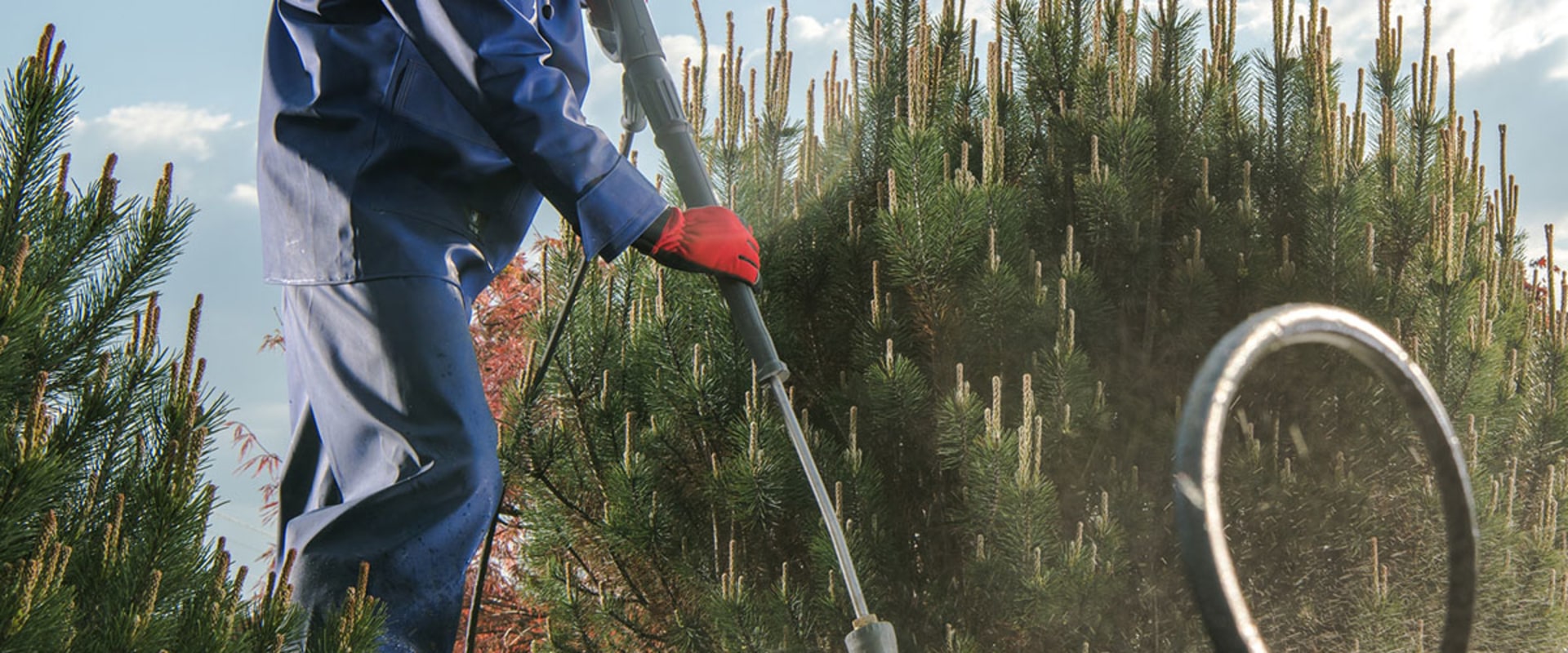 The Power of a Name: Choosing the Perfect Name for Your Pressure Washing Company